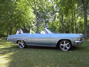 Bla65 009725