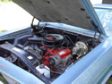 Bla65 009756