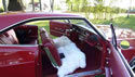Chevrolet Impala 1965 2d Hard Top Red 034